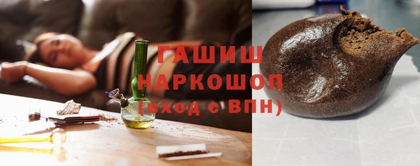 индика Богородск