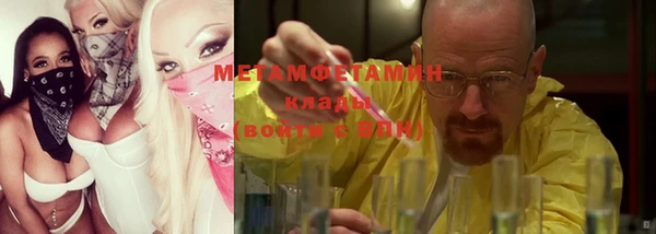 дмт Богданович